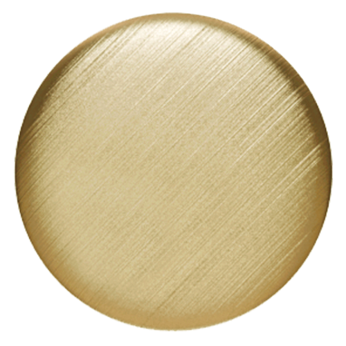 Brushed Champagne PVD®
